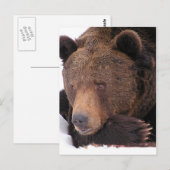 Braunbär Winter Postkarte (Vorne/Hinten)