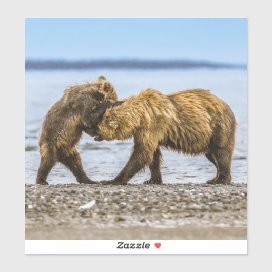 Braunbären Aufkleber (Blatt)