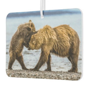 Braunbären Autolufterfrischer