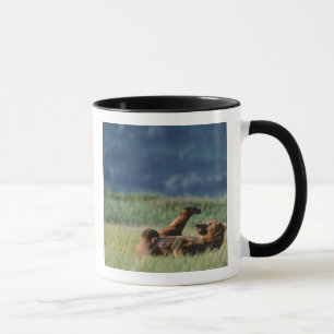 Braunbären beim Spielen, Ursus arctos, Alaska Tasse