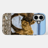 Braunbären Case-Mate iPhone Hülle (Rückseite (Horizontal))