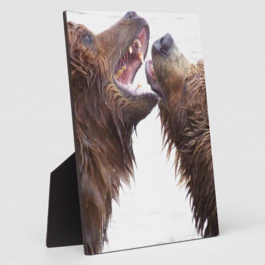 Braunbären Fotoplatte (Seite)