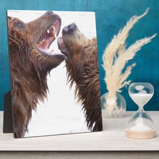 Braunbären Fotoplatte (Seite)