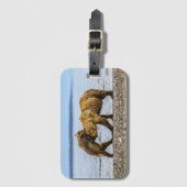 Braunbären Gepäckanhänger (Vorderseite Vertikal)