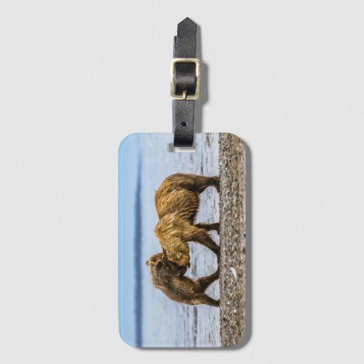 Braunbären Gepäckanhänger (Vorderseite Vertikal)