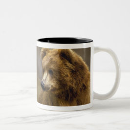 Braunbären-Geschenke Zweifarbige Tasse