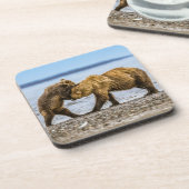 Braunbären Getränkeuntersetzer (Linke Seite)