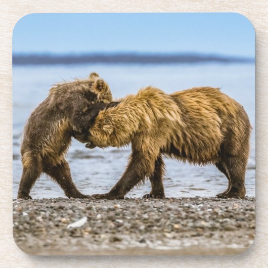 Braunbären Getränkeuntersetzer (Vorderseite)