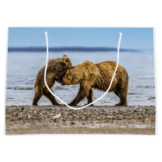 Braunbären Große Geschenktüte (Vorderseite)