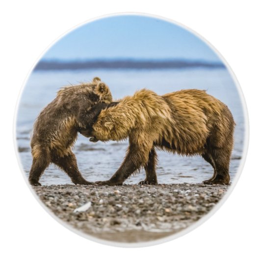 Braunbären Keramikknauf (Vorderseite)