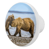 Braunbären Keramikknauf (Rechts)