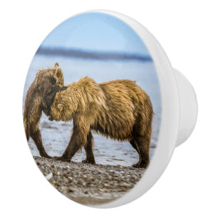Braunbären Keramikknauf