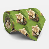 Braunbären Krawatte (Gerollt)