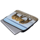 Braunbären Laptopschutzhülle (Vorne Knopf)