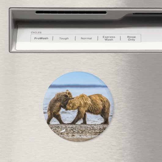 Braunbären Magnet (In Situ (Geschirrspüler))