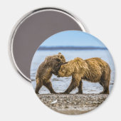 Braunbären Magnet (Vorderseite/Rückseite)