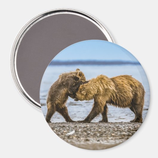 Braunbären Magnet (Vorderseite/Rückseite)