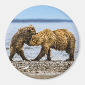 Braunbären Magnet (Vorne)