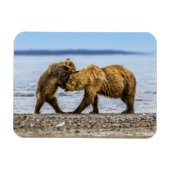 Braunbären Magnet (Horizontal)