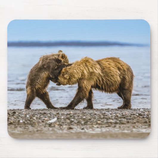 Braunbären Mousepad (Vorne)
