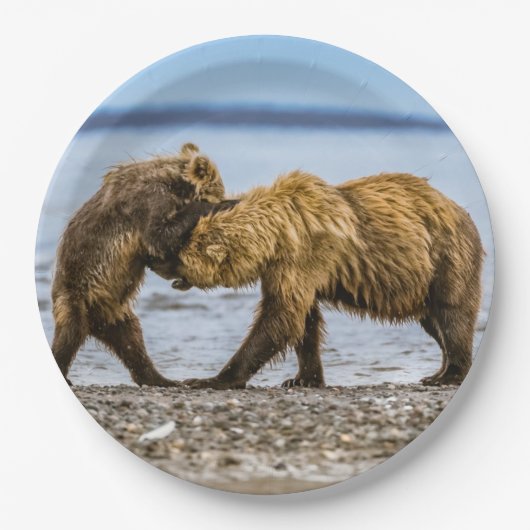 Braunbären Pappteller (Vorderseite)