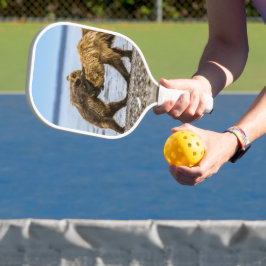 Braunbären Pickleball Schläger