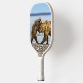 Braunbären Pickleball Schläger (Links)