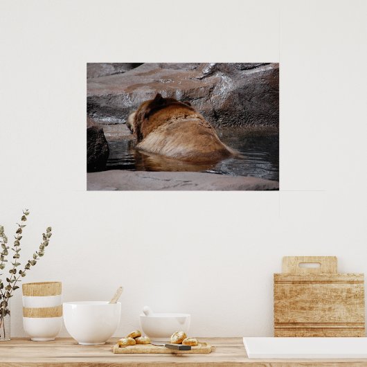 Braunbären Poster (Küche)
