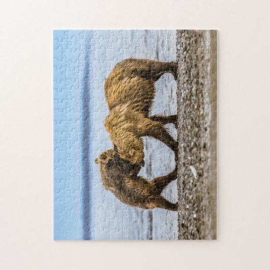 Braunbären Puzzle (Vertikal)