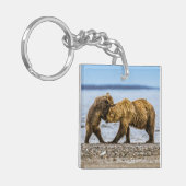 Braunbären Schlüsselanhänger (Vorderseite links)