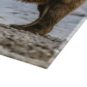 Braunbären Schneidebrett (Ecke)