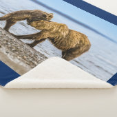 Braunbären Sherpadecke (3/4)