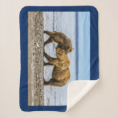 Braunbären Sherpadecke (Vorderseite)