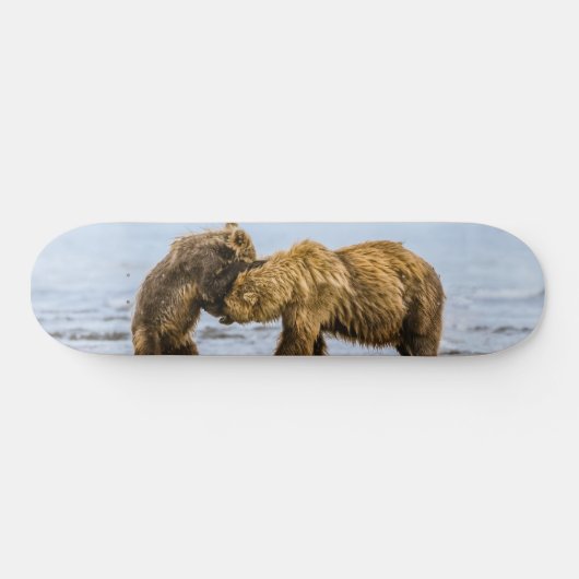 Braunbären Skateboard (Horizontal)