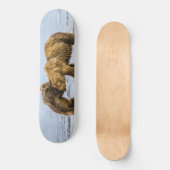 Braunbären Skateboard (Vorderseite)