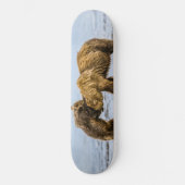Braunbären Skateboard (Vorderseite)