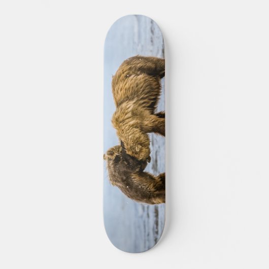 Braunbären Skateboard (Vorderseite)