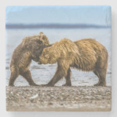 Braunbären Steinuntersetzer (Vorderseite)