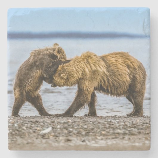 Braunbären Steinuntersetzer (Vorderseite)