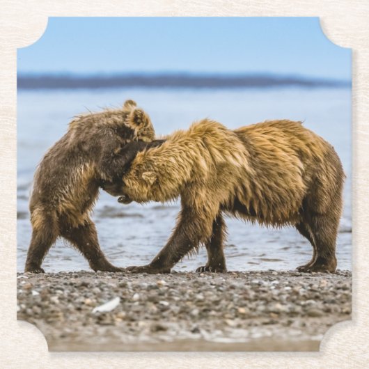 Braunbären Untersetzer (Vorderseite)