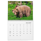 Braunbären-Wandkalender Kalender (Mär 2027)