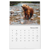 Braunbären-Wandkalender Kalender (Feb 2026)