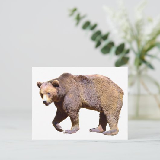 Braunbärenabgeschieden Postkarte (Stehend Vorderseite)