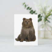 Braunbärenbäume - Doppelbelichtung Postkarte (Stehend Vorderseite)