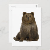 Braunbärenbäume - Doppelbelichtung Postkarte (Vorne/Hinten)