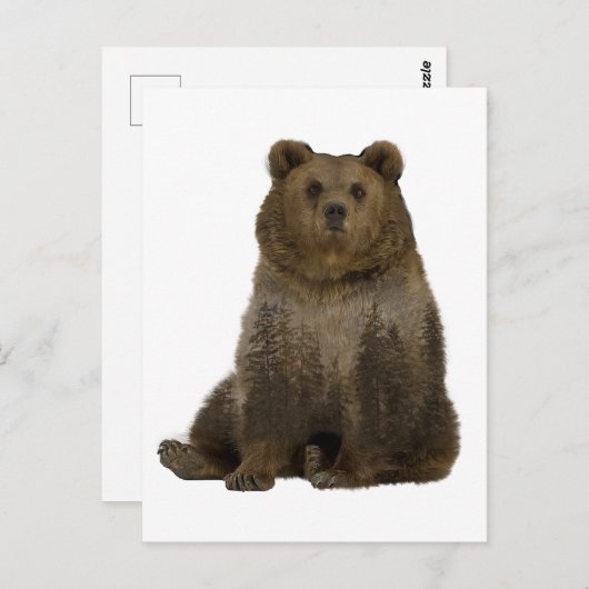Braunbärenbäume - Doppelbelichtung Postkarte (Vorne/Hinten)