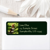 Braunbärenfamilie (Insitu)