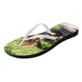 Braunbärenfamilie Badesandalen (Schrägansicht)