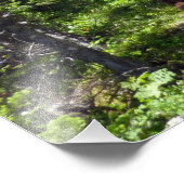 Braunbärenfamilie Fotodruck (Ecke)