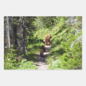 Braunbärenfamilie Geschenkpapier Set (Vorderseite)